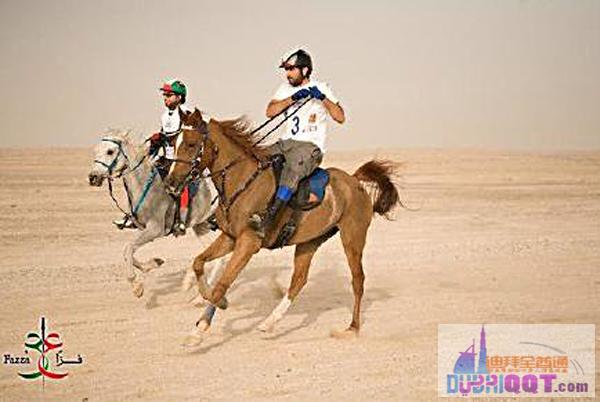 �ϰ������ݻ�����