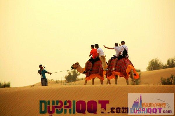 ֻ��žžž�������ĵģ���������