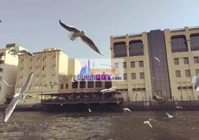 �ϰ�����Ҫ����Ǯ�ϰ����ι���