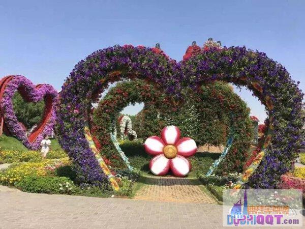 �ϰ��漣��԰�����͵Ļ�̳