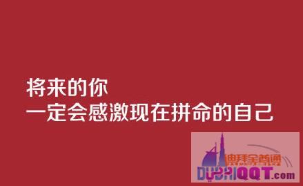 �ϰݺ��⻪��