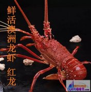 ��բз�ϰ������С���