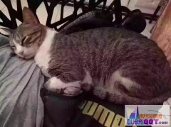 �ϰ�Ѱè���£���������S05ͣ����������ʧ