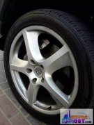 �ϰݺ���ת�� ��ع�08�걣ʱ�ݿ����ɫ�γ�