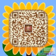 迪拜冲沙、热气球、跳伞、迪拜、阿布扎比观光一日游 迪拜冲沙、热气球、跳伞、迪拜、阿布扎比观光一日游