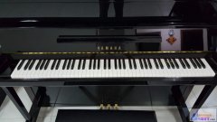 ת���ձ�������������