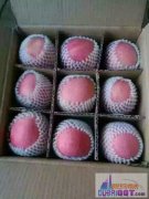 �й����й�����ƻ��