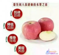 �й����й�����ƻ��