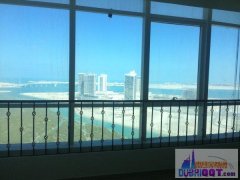 �������Ⱦ�Ʒ������