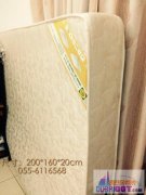 ����ɳ����ʮ����