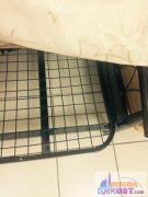 ����ɳ����ʮ����