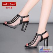 ���������װ�꡿��Ь