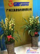 国内-迪拜空运双清包税到门一条龙服务,震撼来袭!! 国内-迪拜空运双清包税到门一条龙服务,震撼来袭!!