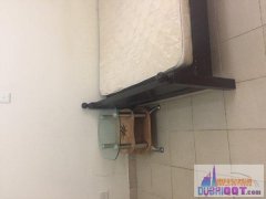 ���Գ���