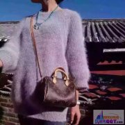 LV Nano Speedy miniС���