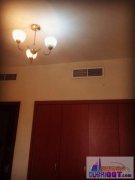 C05һ��һ�����Գ��⣨��è�������Ƕ���