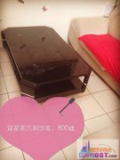 1.8�׶��ִ������棬�˼�ɳ���輸ת�ֳ���