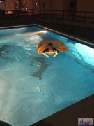 【巴林华人公寓】欢迎海内外游客和朋友来巴林华人公寓 【巴林华人公寓】欢迎海内外游客和朋友来巴林华人公寓