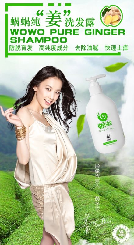 【蜗蜗】纯姜零硅油洗发水另迪拜招聘代理 【蜗蜗】纯姜零硅油洗发水另迪拜招聘代理