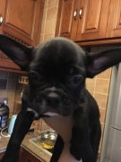 ������ɯ�㳡��������