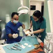 ���ϰ�������������������ֵ����������������