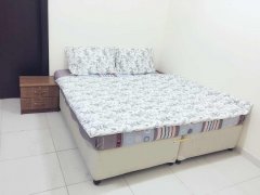 �������˹�Ԣ ��ӭ���񿼲죬���չ�ᣬ���ι۹�