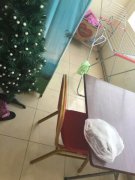 ��ת�̸���studio�ͼ۳���