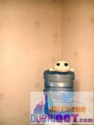 ���к���Ů�����ּѼѱ���b06��studio���Ҿߵ���������