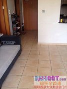 �ڽ��й������ʳ�CBDһ��һ������