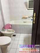 ���ݳ��⣬���⣬���⣬���⡣