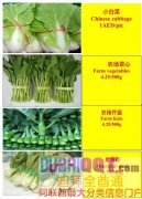 ��ĩ�����