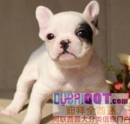 רҵ��ֳ��������Ҫ������ϵ��