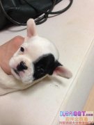 רҵ��ֳ��������Ҫ������ϵ��