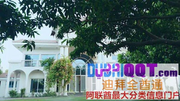 三号机场rashidya独栋别墅有房间和床位出租(床位价格电 三号机场rashidya独栋别墅有房间和床位出租(床位价格电