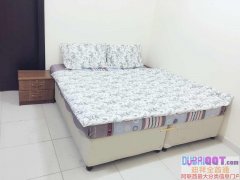 �ϰݺ������˹�Ԣ����ӭ���񿼲죬���չ��