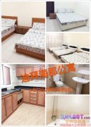 �ϰݺ������˹�Ԣ����ӭ���񿼲죬���չ��