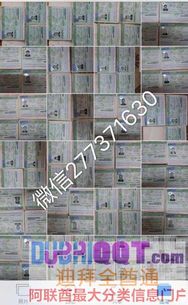 【沙特签证 VS中介工作VSUSANA】 【沙特签证 VS中介工作VSUSANA】