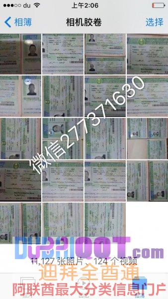 【沙特签证 VS中介工作VSUSANA】 【沙特签证 VS中介工作VSUSANA】