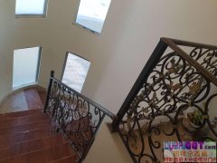 ����ϰݣ�����ʳ���������Ĵ������