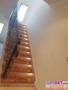 ����ϰݣ�����ʳ���������Ĵ������