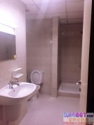 �����ݳ��⡿�ϰݹ��ʳ�A������Ů����λ����