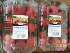 ���ϰݰٹ�԰������ˮ�������Ρ��ʻ�ȫ�ϰ�ÿ������