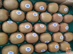 ���ϰݰٹ�԰������ˮ�������Ρ��ʻ�ȫ�ϰ�ÿ������