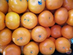 ���ϰݰٹ�԰������ˮ�������Ρ��ʻ�ȫ�ϰ�ÿ������