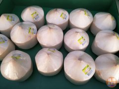 ���ϰݰٹ�԰������ˮ�������Ρ��ʻ�ȫ�ϰ�ÿ������