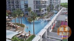 ���׾Ƶ�ײ˼�105�� ������