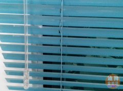 Ѱ��������