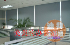 Ѱ��������