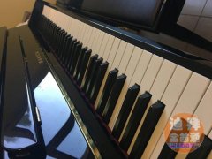 ���ָ���ר��