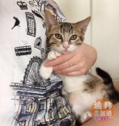 3���µ�Сè�� �������